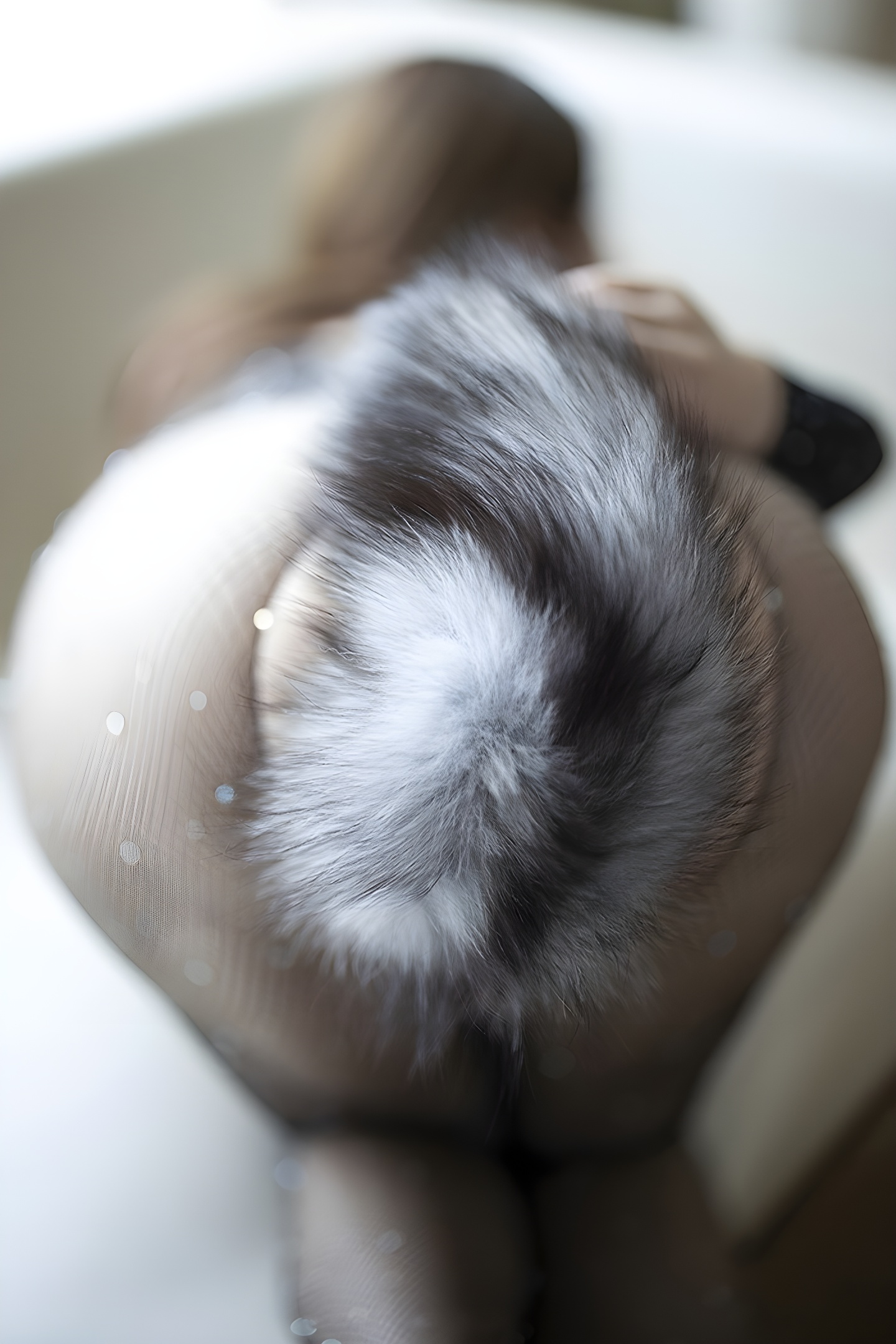 狐狸小妖软软：巨乳与尾巴的极致诱惑